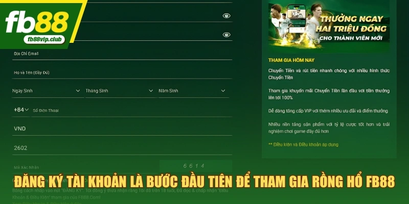 Đăng ký tài khoản là bước đầu tiên để tham gia Rồng Hổ FB88