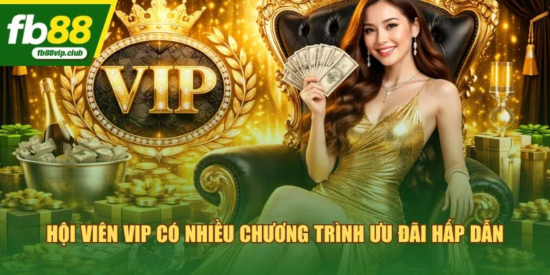 Hội viên VIP có nhiều chương trình ưu đãi hấp dẫn