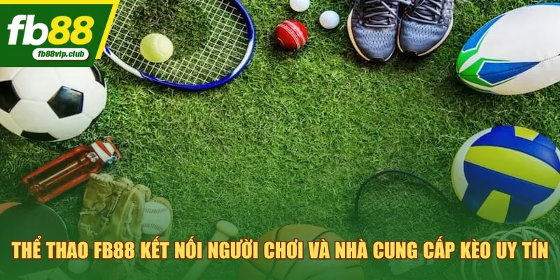 Thể thao FB88 kết nối người chơi và nhà cung cấp kèo uy tín