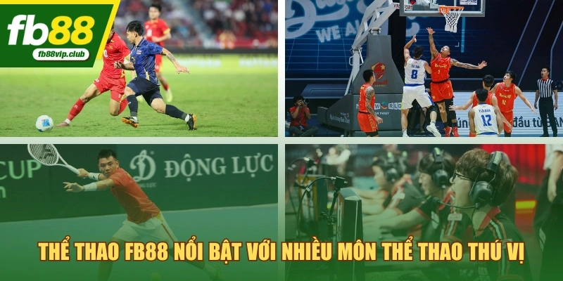 Thể thao FB88 nổi bật với nhiều môn thể thao thú vị
