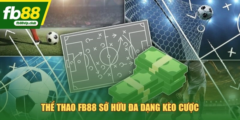 Thể thao FB88 sở hữu đa dạng kèo cược